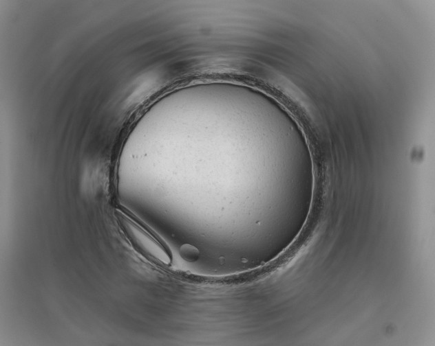 X0000094440777200711151404