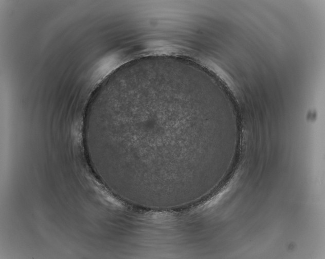 X0000094440778200711151404