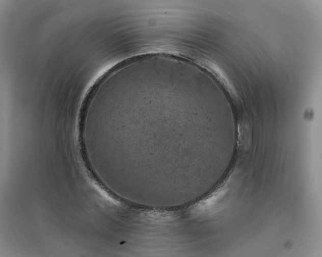 X0000094440780200711151404
