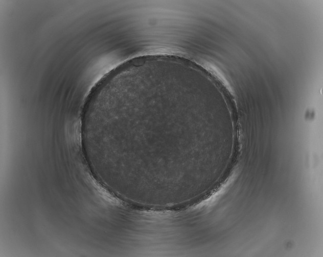 X0000094440781200711151404