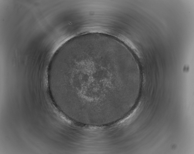 X0000094440782200711151404