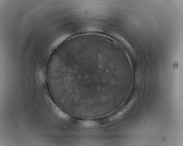 X0000094440785200711151403