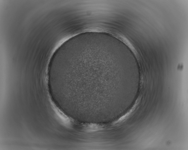 X0000094440787200711151403