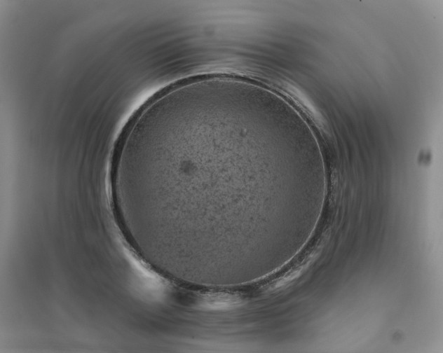 X0000094440788200711151403