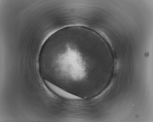 X0000094440789200711151403