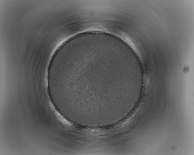 X0000094440791200711151403