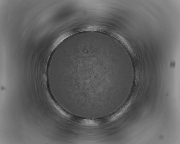 X0000094440794200711151403