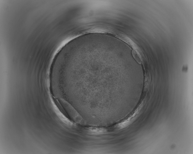 X0000094440795200711151403