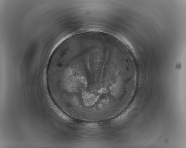 X0000094440798200711151403