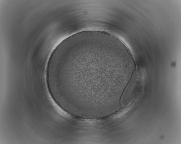 X0000094440803200711151403