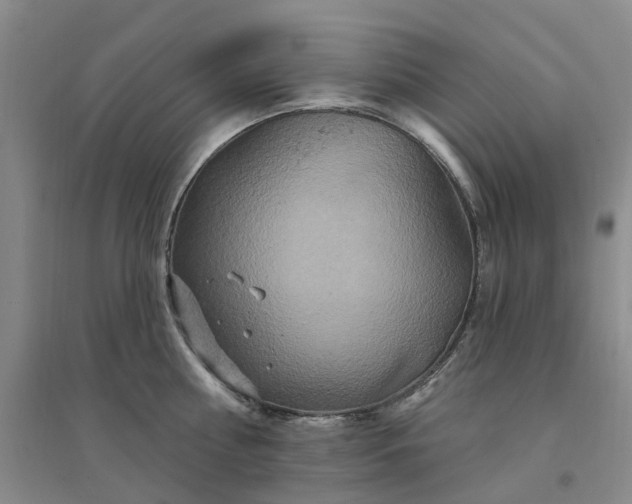 X0000094440810200711151403