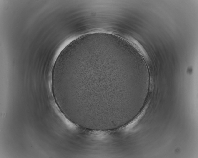 X0000094440812200711151403