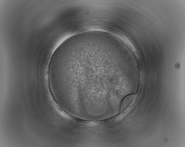 X0000094440814200711151403