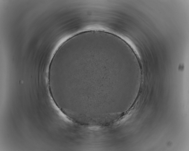 X0000094440815200711151403