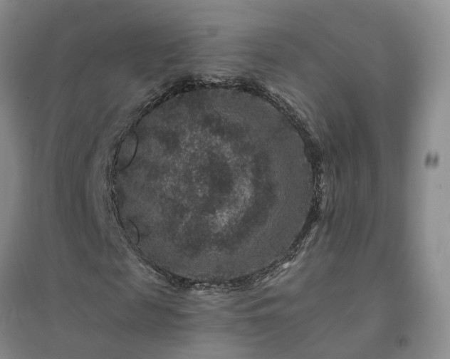X0000094440817200711151402
