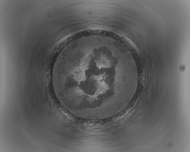 X0000094440821200711151402