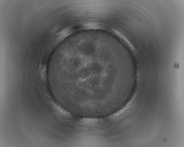 X0000094440825200711151402