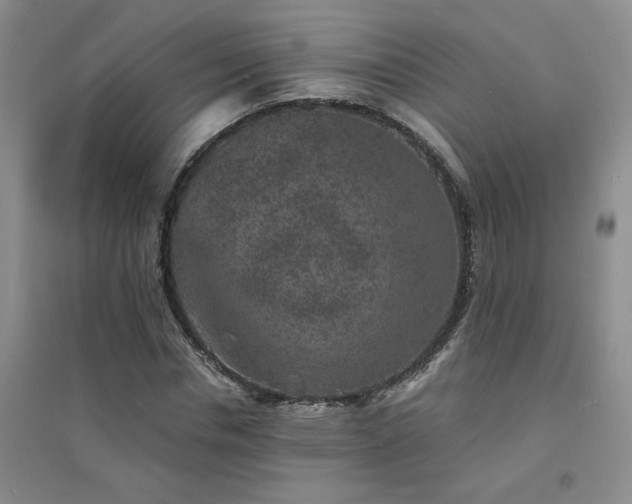X0000094440826200711151402