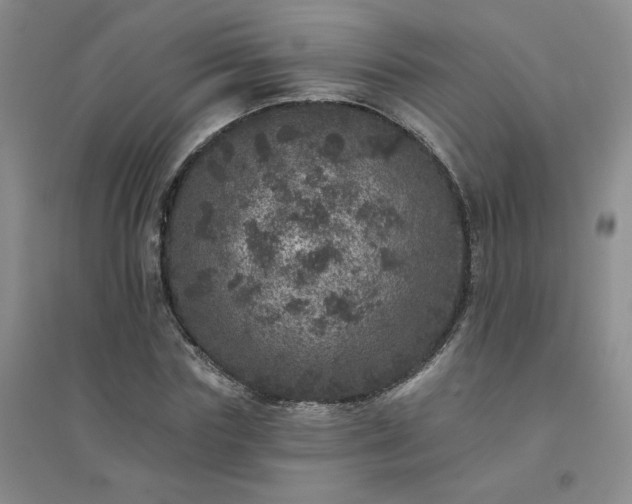 X0000094440827200711151402