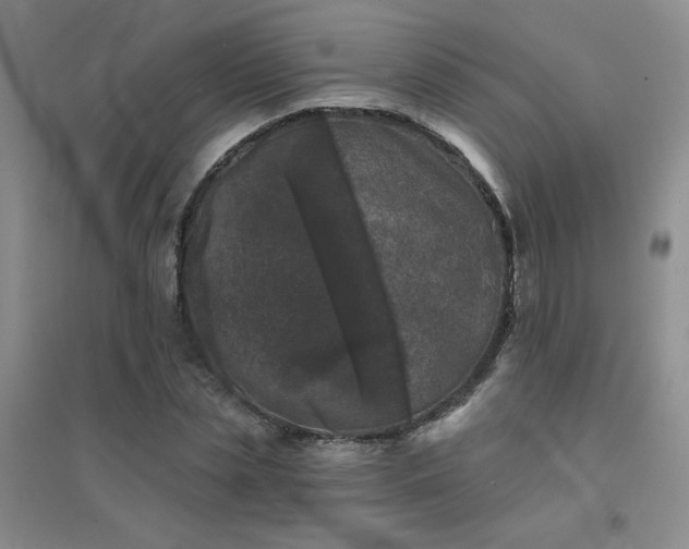 X0000094440829200711151402