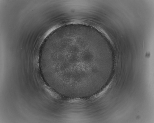 X0000094440830200711151402