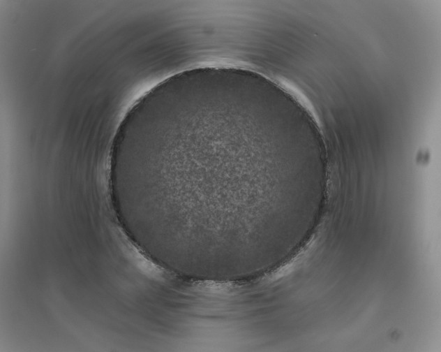 X0000094440831200711151403