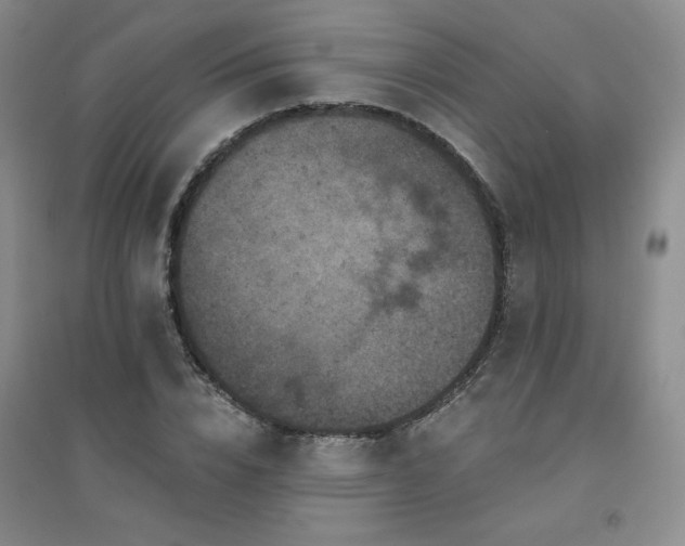 X0000094440832200711151403