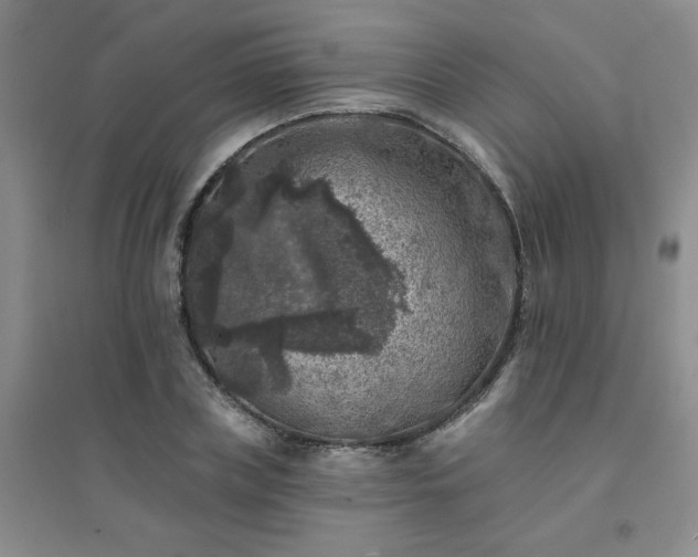 X0000094440835200711151403
