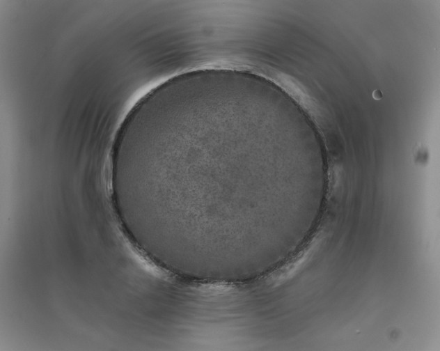 X0000094440838200711151403