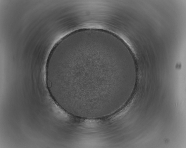 X0000094440840200711151403