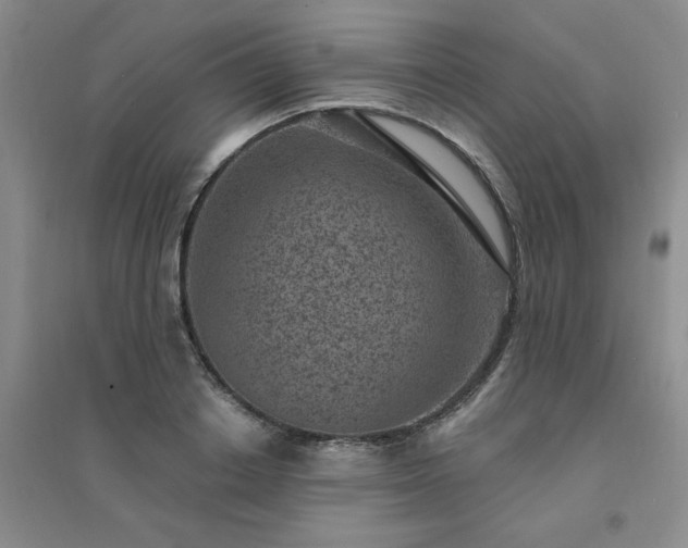 X0000094440842200711151403