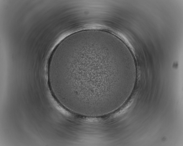 X0000094440843200711151403