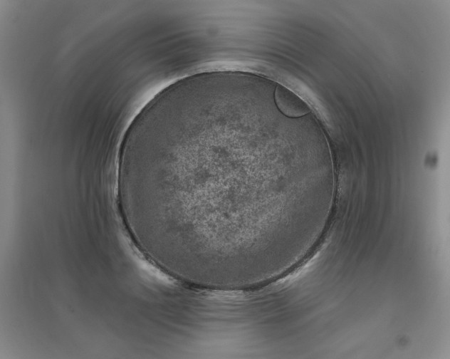 X0000094440844200711151403