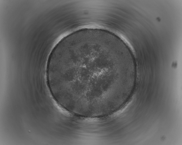 X0000094440845200711151403