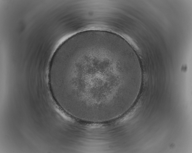 X0000094440846200711151403