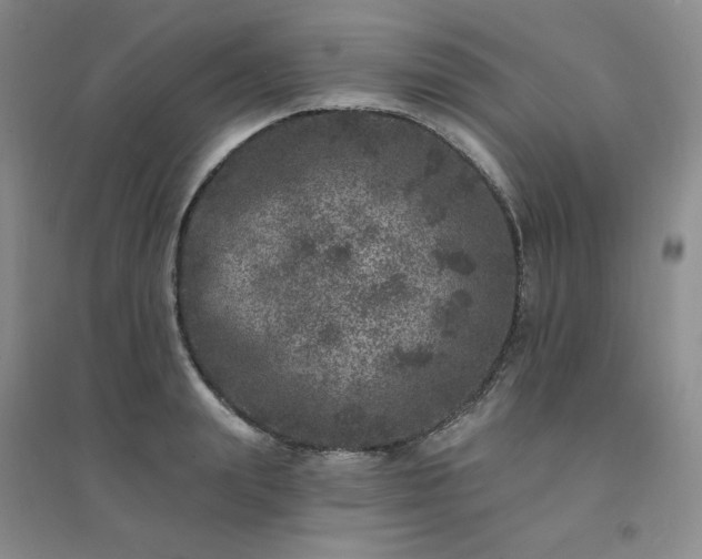 X0000094440847200711151403