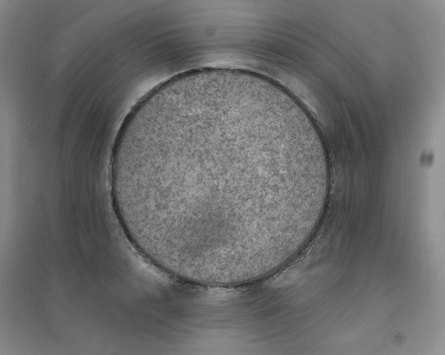 X0000094440848200711151403