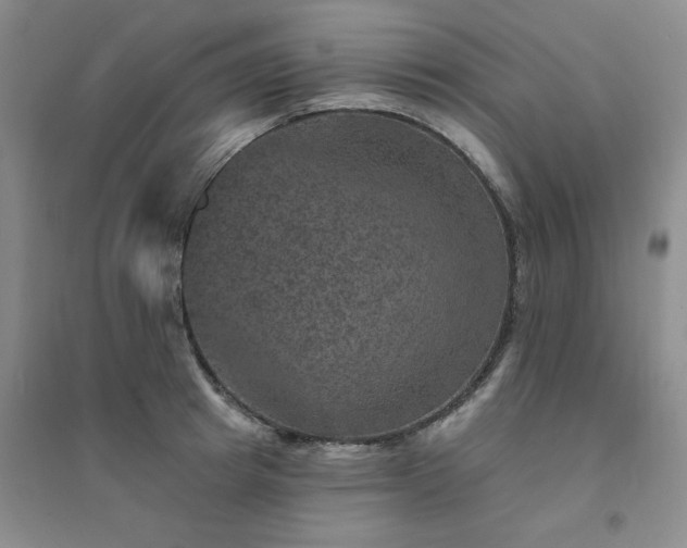 X0000094440849200711151403