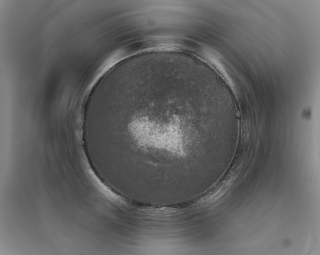 X0000094440851200711151403