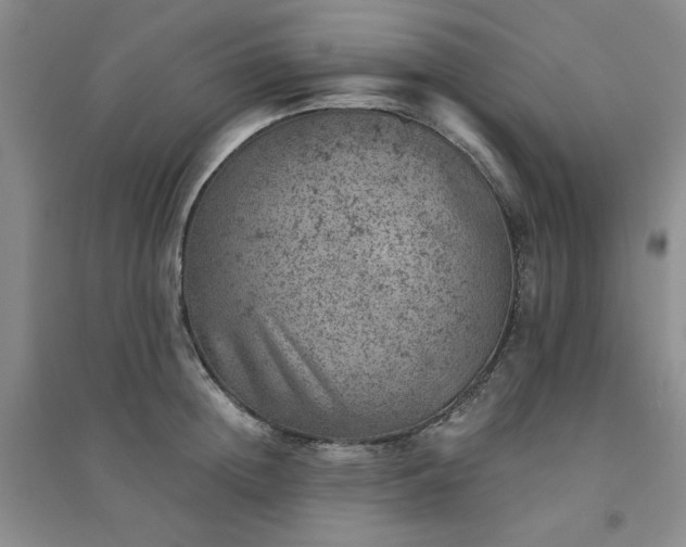 X0000094440852200711151403