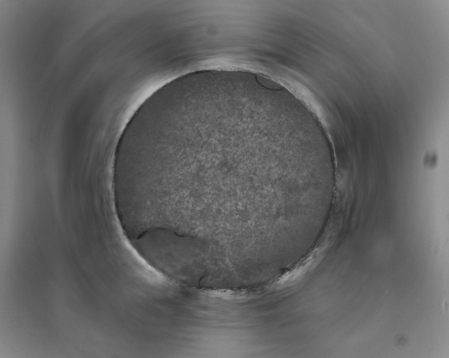 X0000094440855200711151403