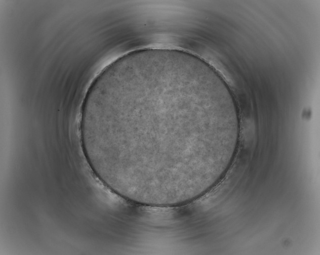 X0000094440856200711151403