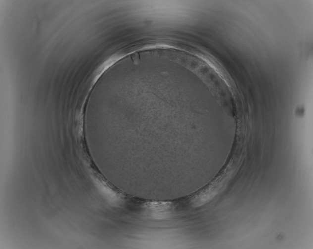 X0000094440858200711151403