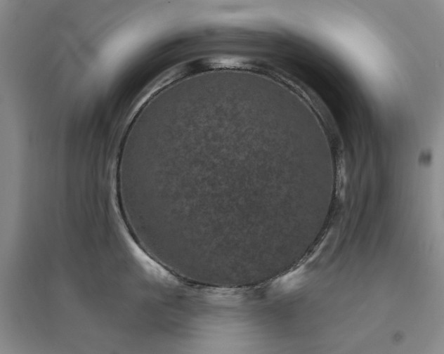 X0000094440861200711151403