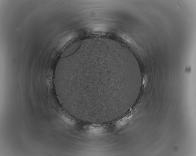 X0000094440867200711151402