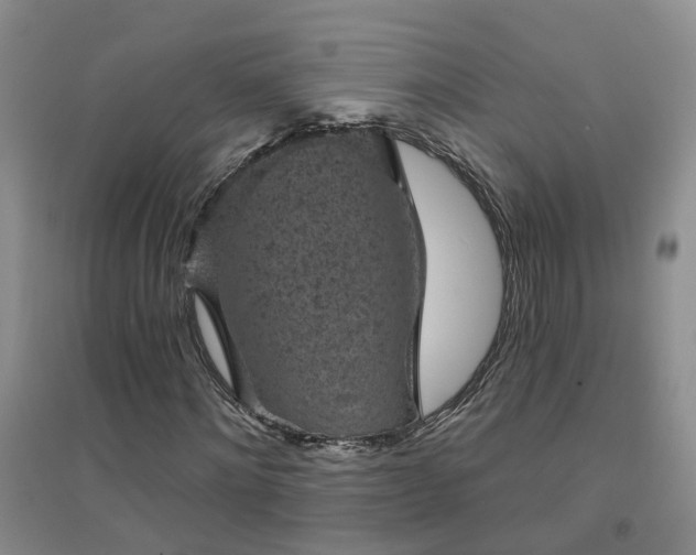 X0000094440868200711151402