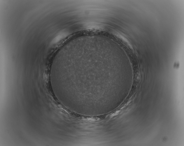X0000094440869200711151402