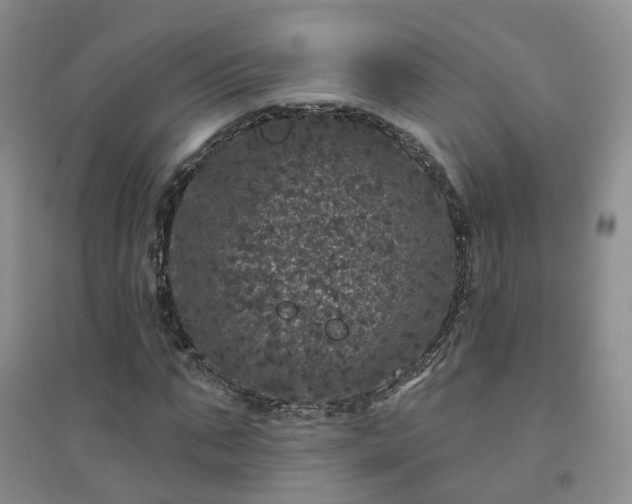 X0000094440871200711151402