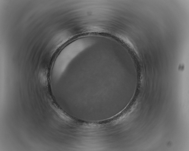 X0000094440873200711151402