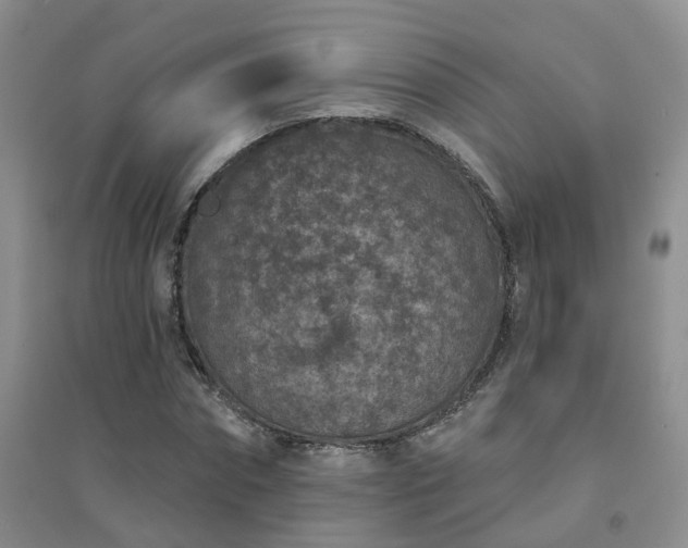 X0000094440874200711151402